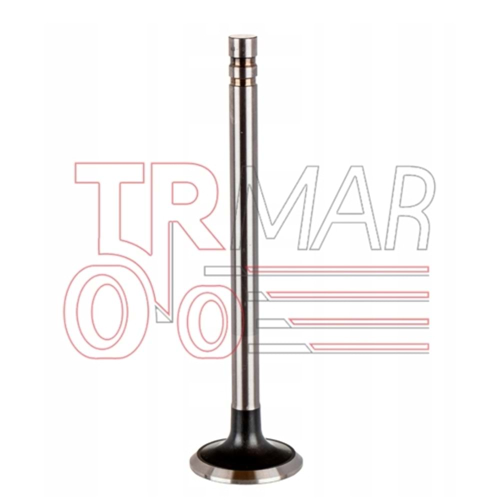 Exhaust Valve STD