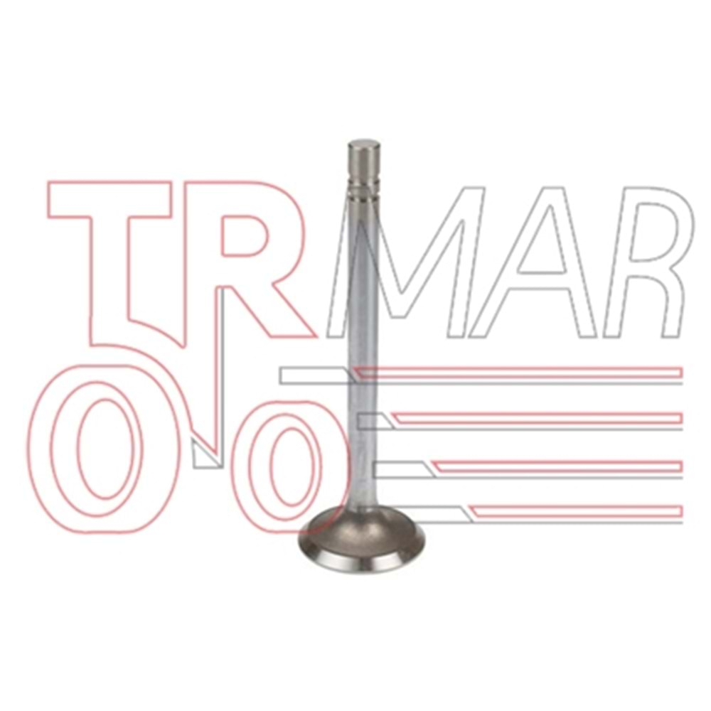 Exhaust Valve STD