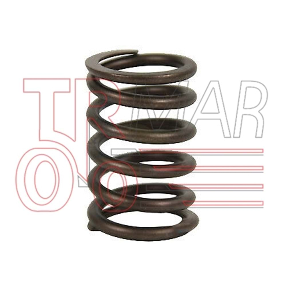 Valve Spring