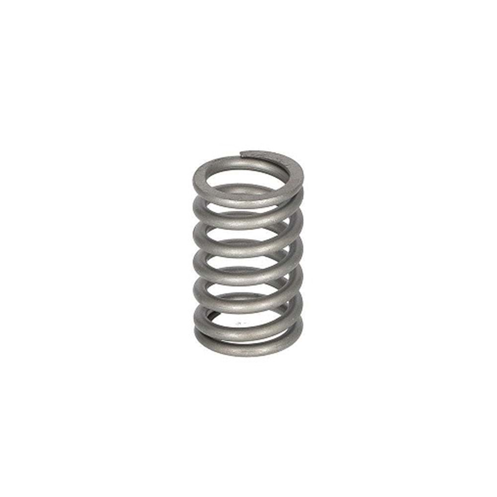 Valve Spring