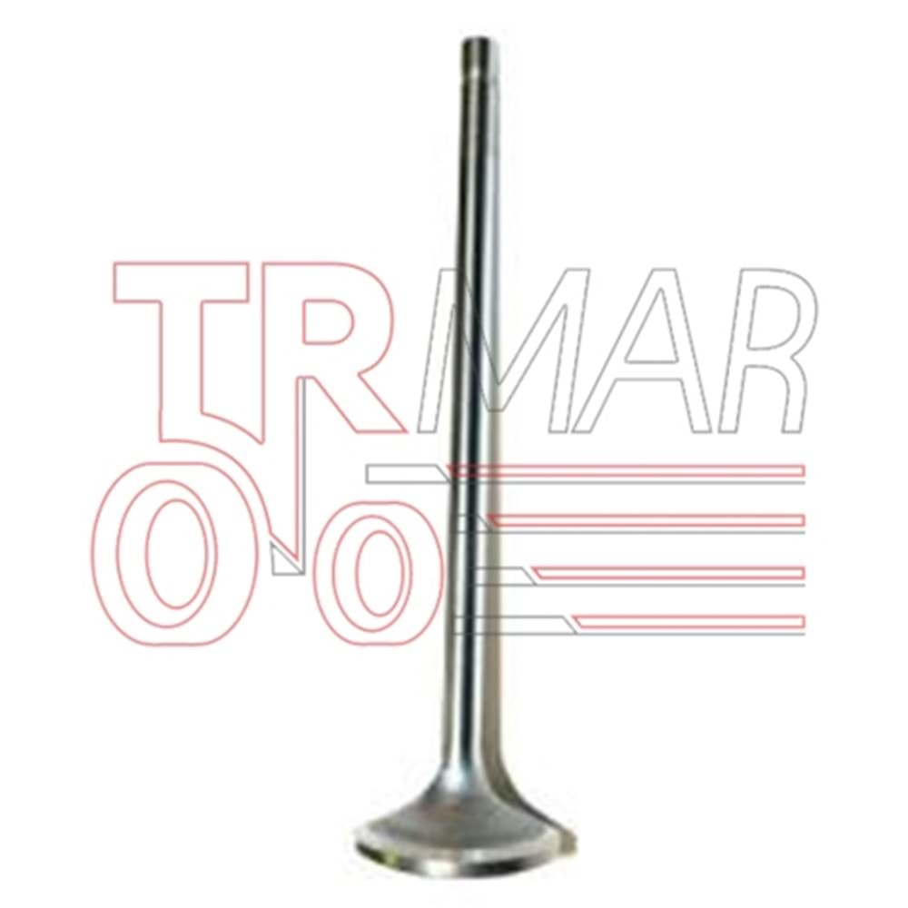 Exhaust Valve STD