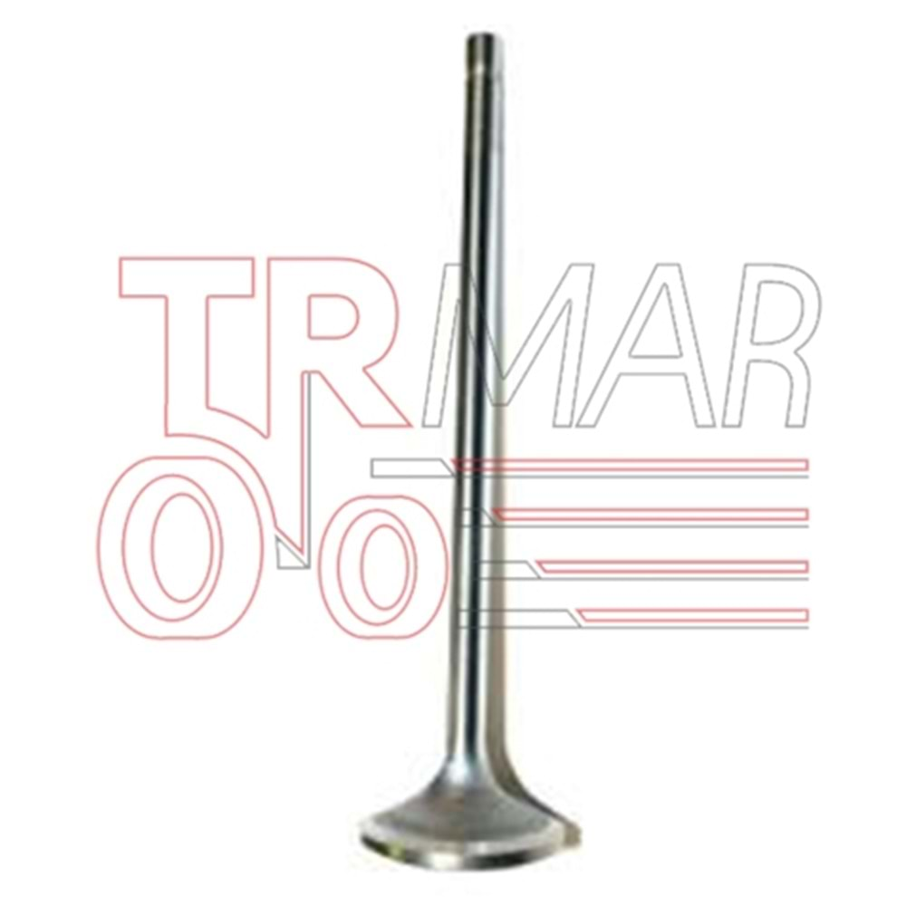 Exhaust Valve STD