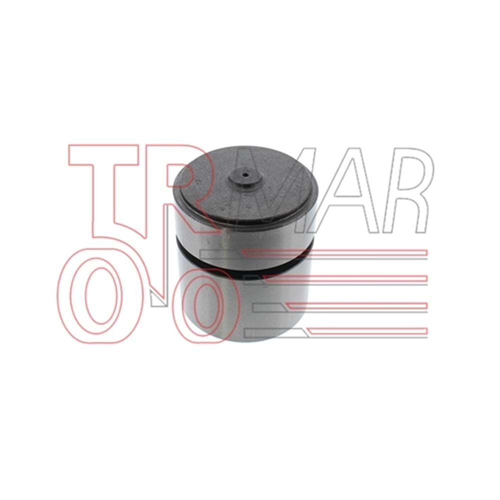 Hydraulic Cylinder Piston