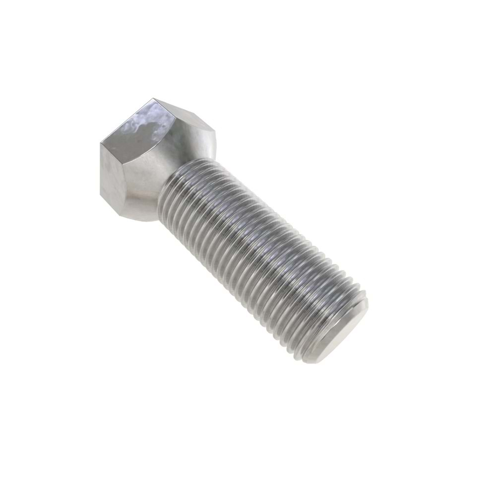 Plow Bolt - OEM