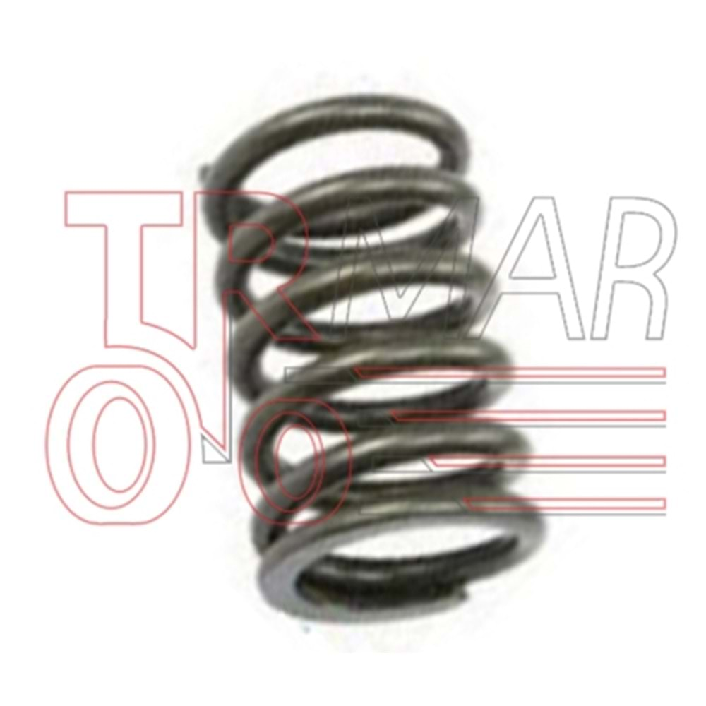 Valve Spring