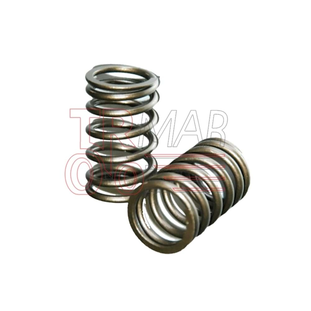 Valve Spring