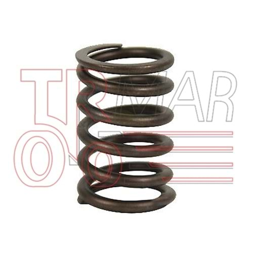 Valve Spring