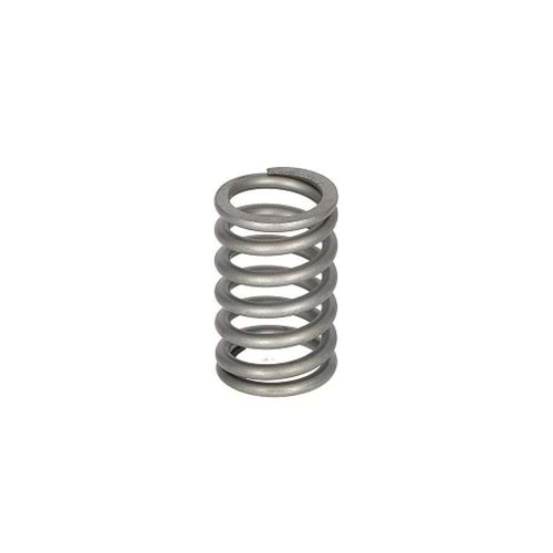 Valve Spring