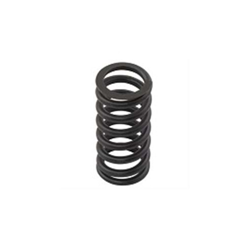 Valve Spring