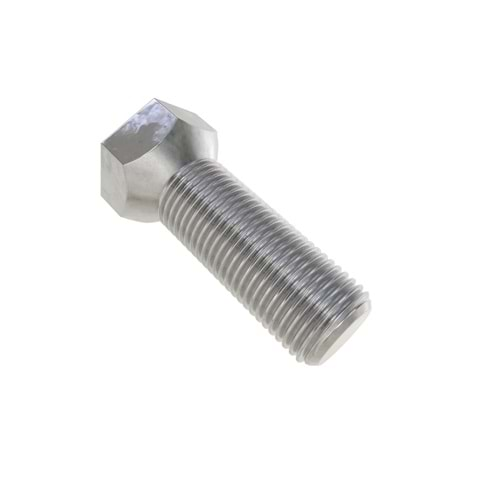 Plow Bolt - OEM