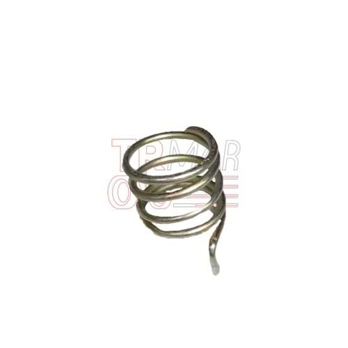 Camshaft Spring