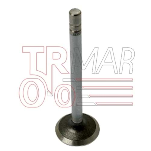 Exhaust Valve STD