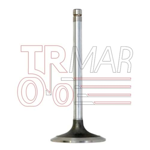 Exhaust Valve STD