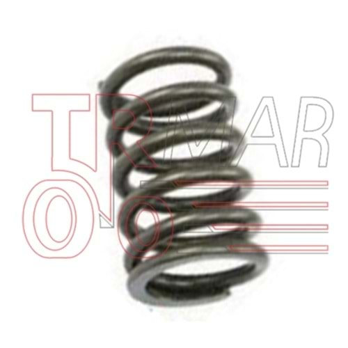 Valve Spring