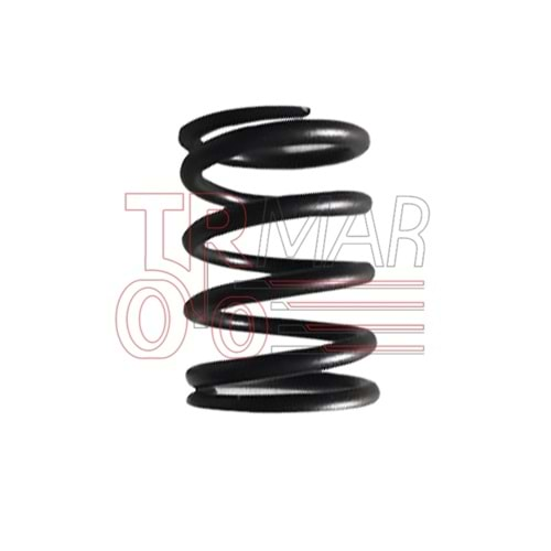 Valve Spring