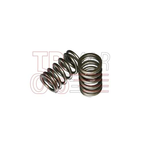 Valve Spring Long