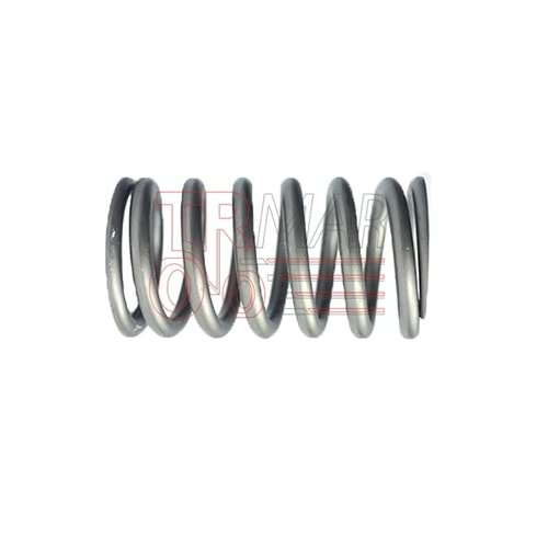 Valve Spring