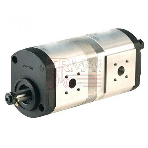 Hydraulic Pump